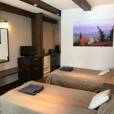 Ruka Safaris - Papin Talo * Ruka